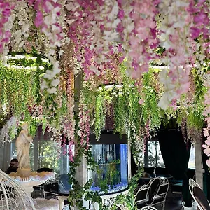 viktoriya-hotel.hotels-of-kiev.com/